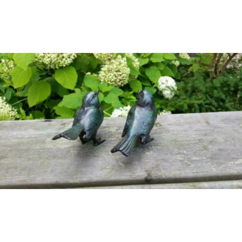 setje MUSSEN / Brons / groen