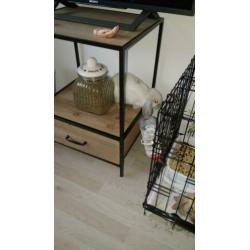Twee lieve konijntjes