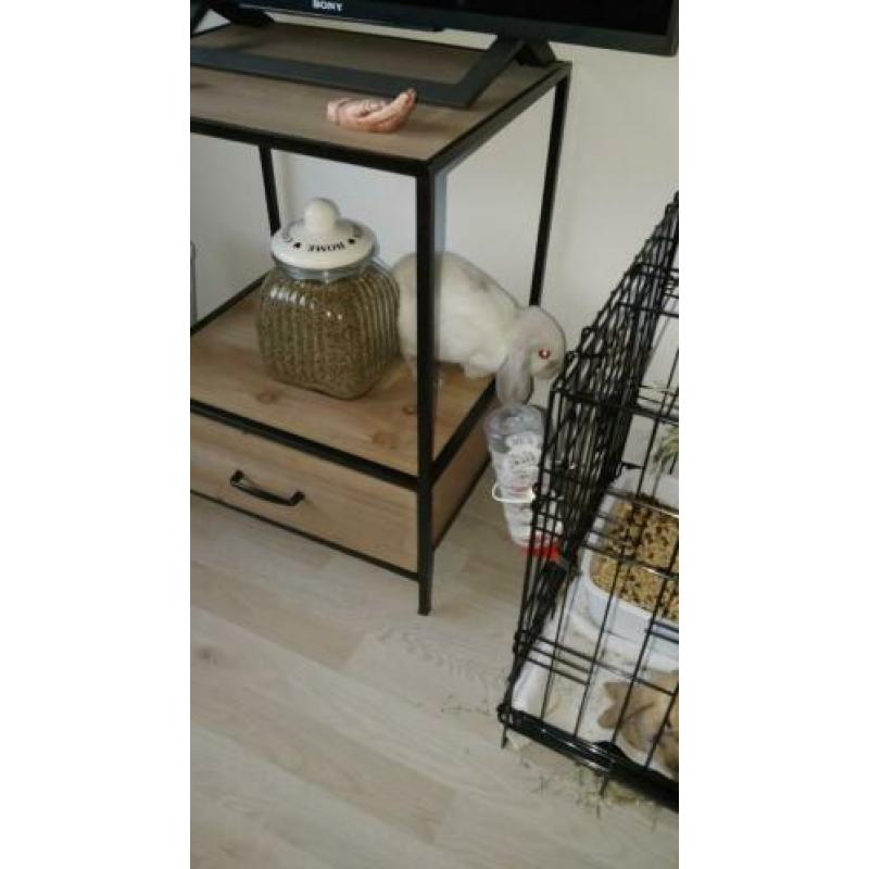 Twee lieve konijntjes