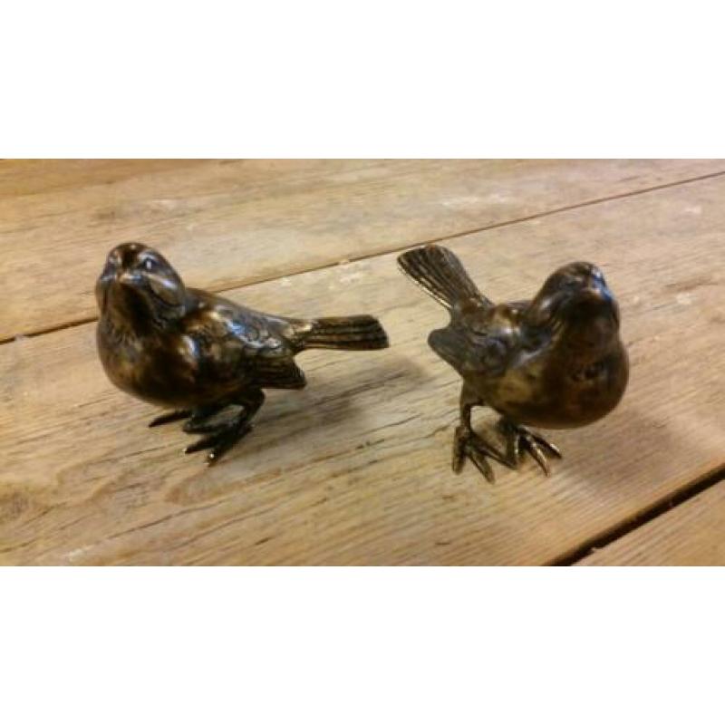setje MUSSEN / Brons / groen