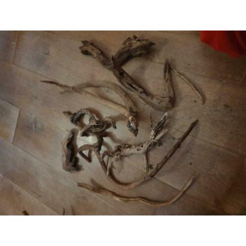 Aquarium Ornamenten / Slagtanden / Amazone hout