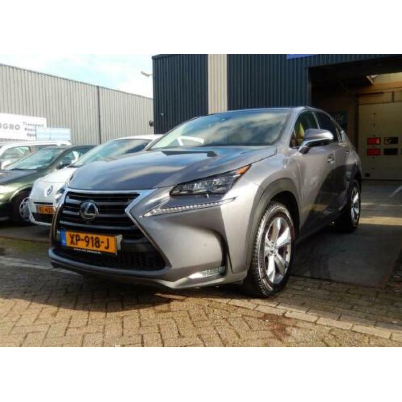 Lexus NX 300h AWD President Line