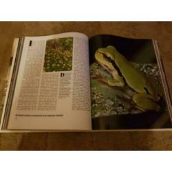 Boek: Water, bron van al het leven (Wereld Natuur Fonds)