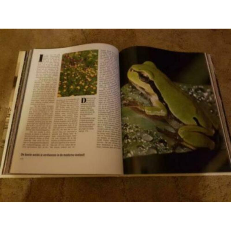 Boek: Water, bron van al het leven (Wereld Natuur Fonds)