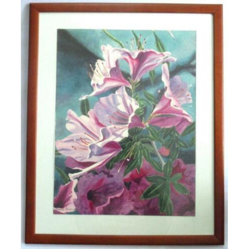 Mooi schilderij aquarel van Robert Parkison, gesigneerd