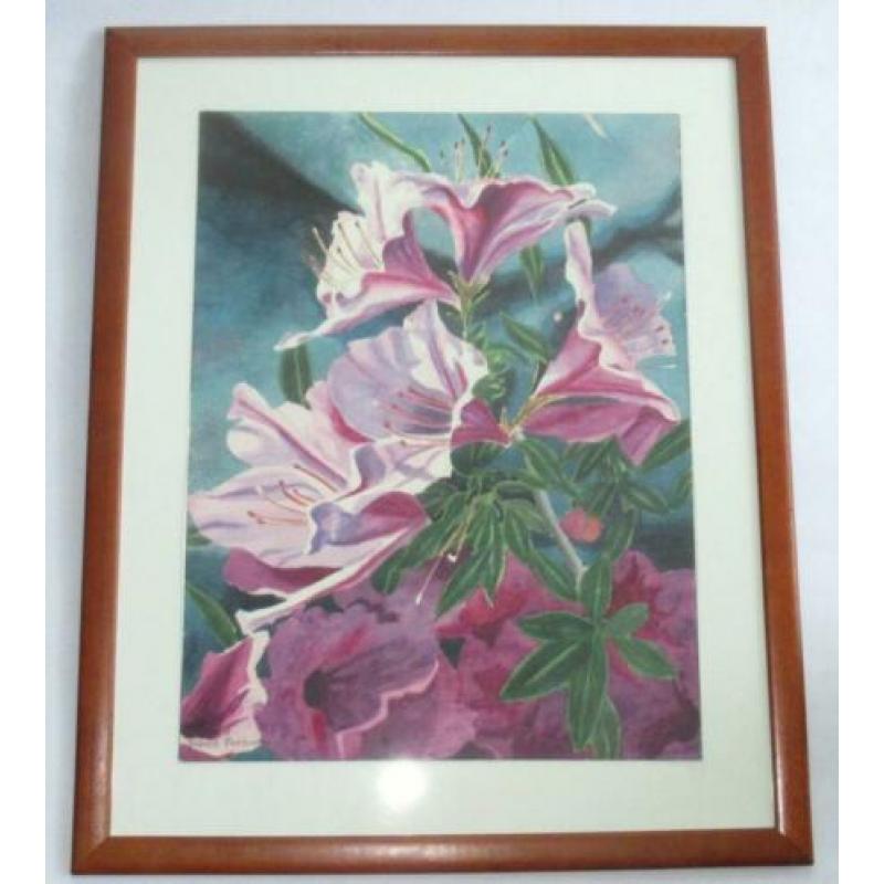 Mooi schilderij aquarel van Robert Parkison, gesigneerd
