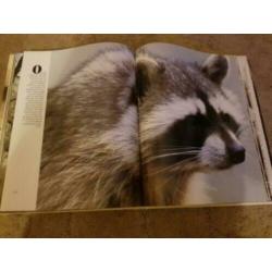 Boek: Water, bron van al het leven (Wereld Natuur Fonds)