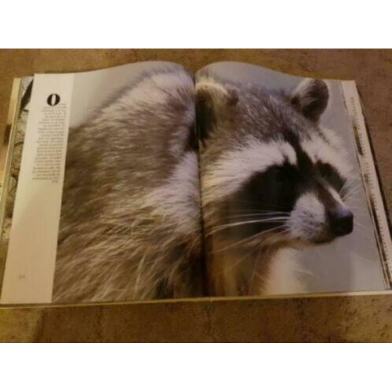 Boek: Water, bron van al het leven (Wereld Natuur Fonds)
