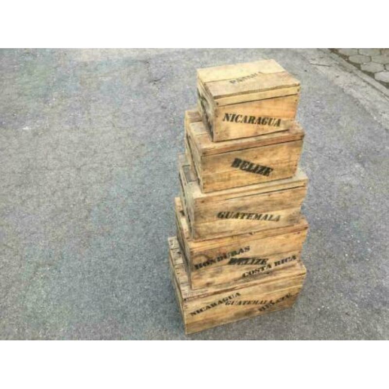 Kisten met deksel / speelgoedkisten van hout , 5-delig