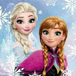 Disney Frozen Kussenhoesje - Diverse Uitvoeringen