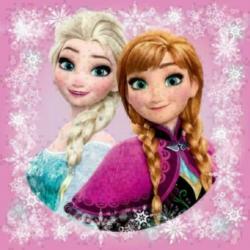 Disney Frozen Kussenhoesje - Diverse Uitvoeringen