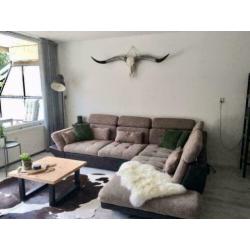 Longhorn skulls , 1m70 breed zwarte punt hoorns MEGA GAAF