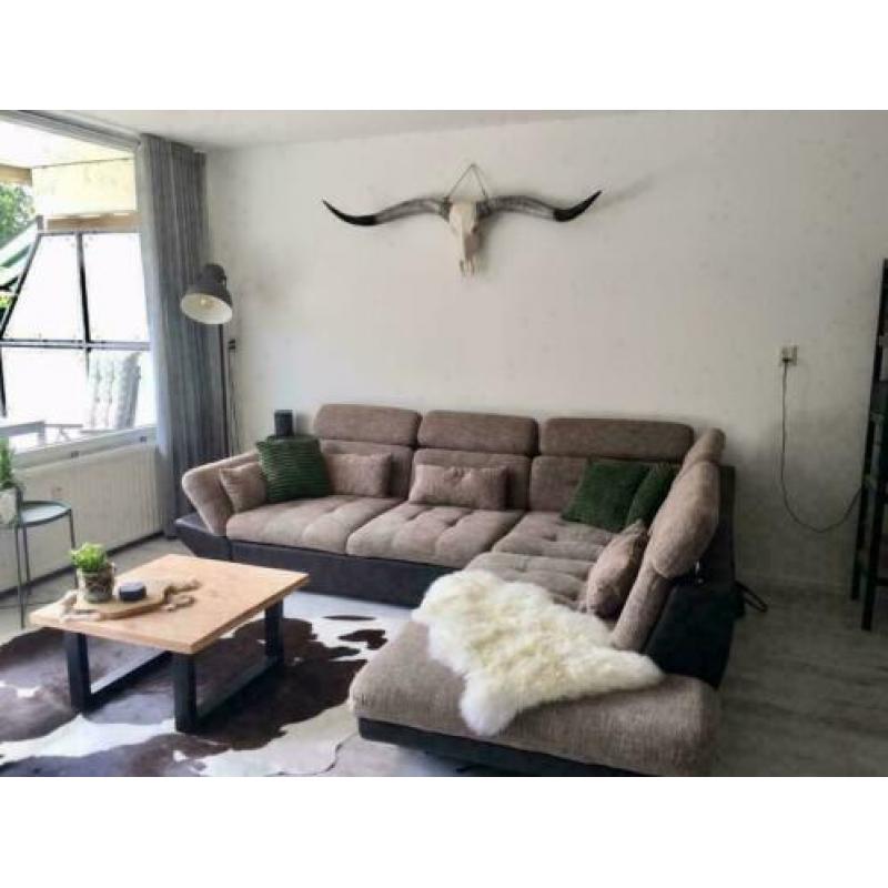 Longhorn skulls , 1m70 breed zwarte punt hoorns MEGA GAAF