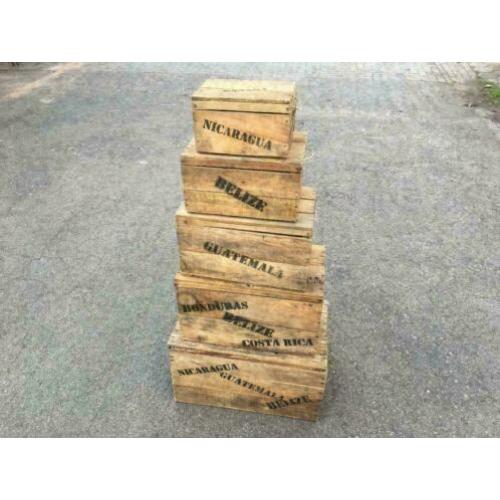 Kisten met deksel / speelgoedkisten van hout , 5-delig