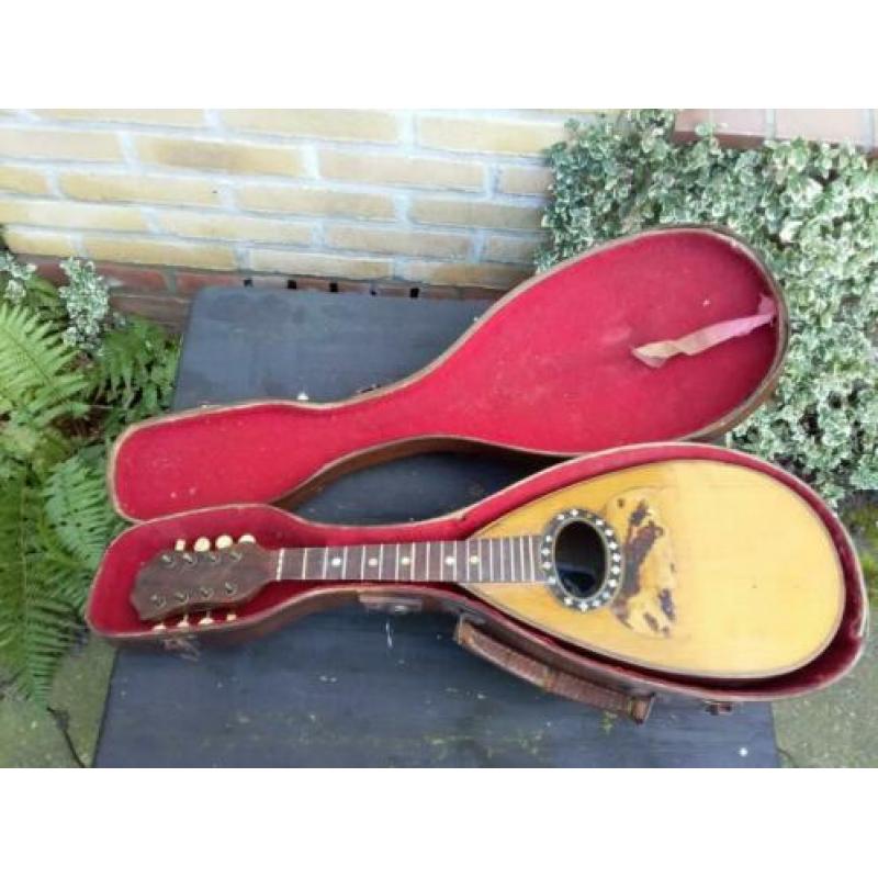 Mandoline G Puglisi Real & Figli