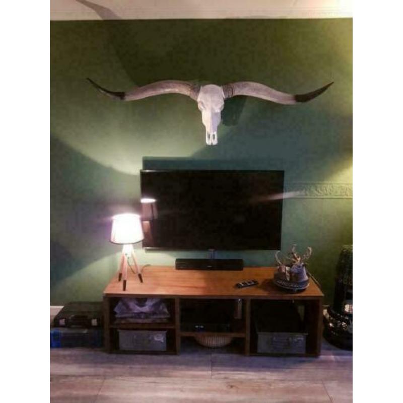 Longhorn skulls , 1m70 breed zwarte punt hoorns MEGA GAAF