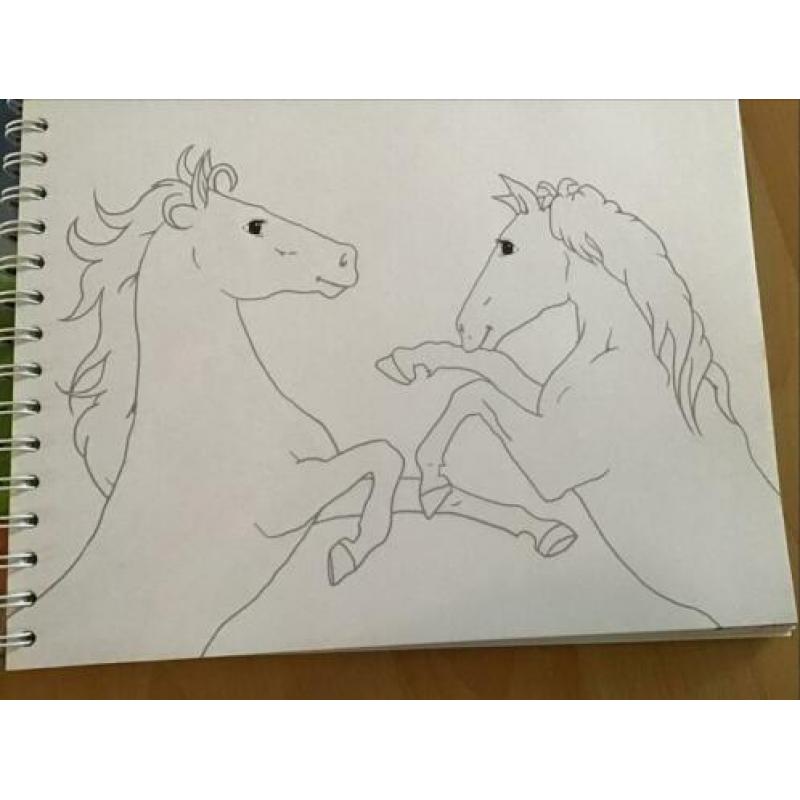 2 Kleurboeken