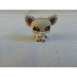 Littlest Pet Shop Chihuahua