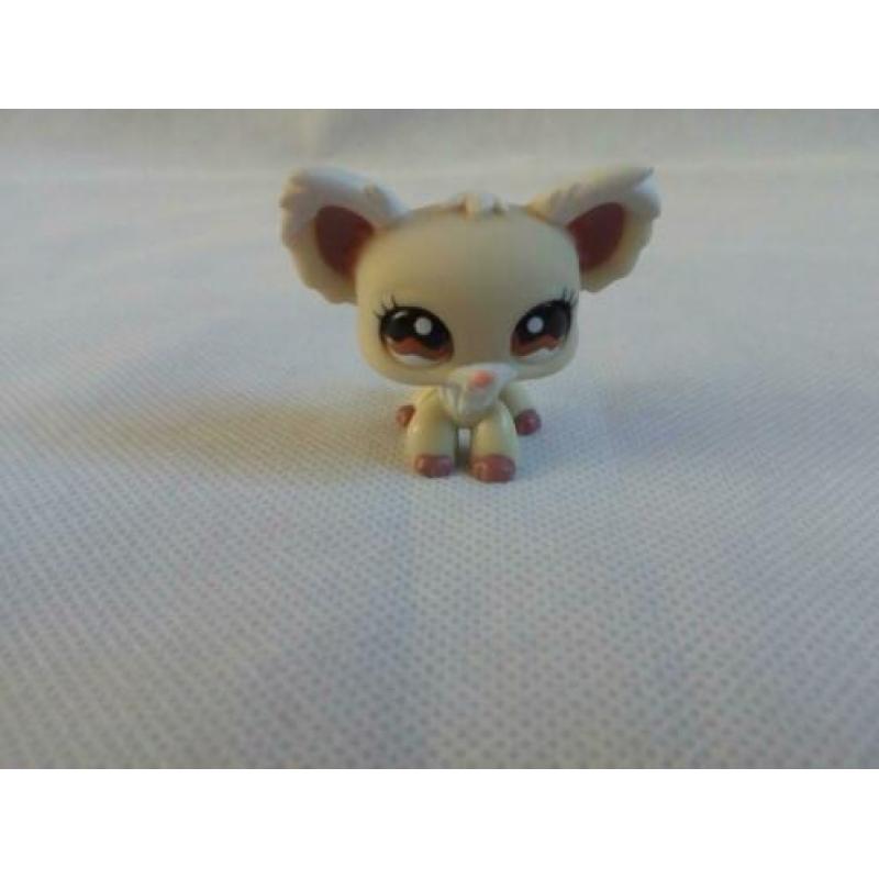 Littlest Pet Shop Chihuahua