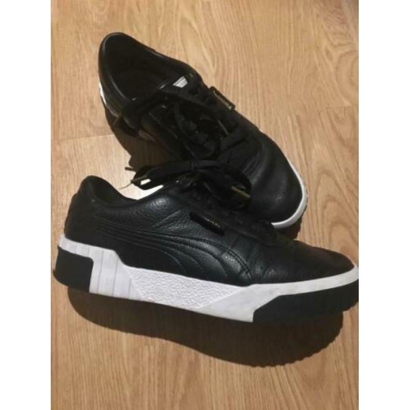 Puma gympen 39