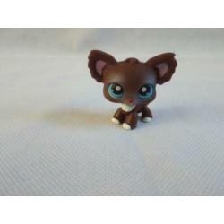 Littlest Pet Shop Chihuahua