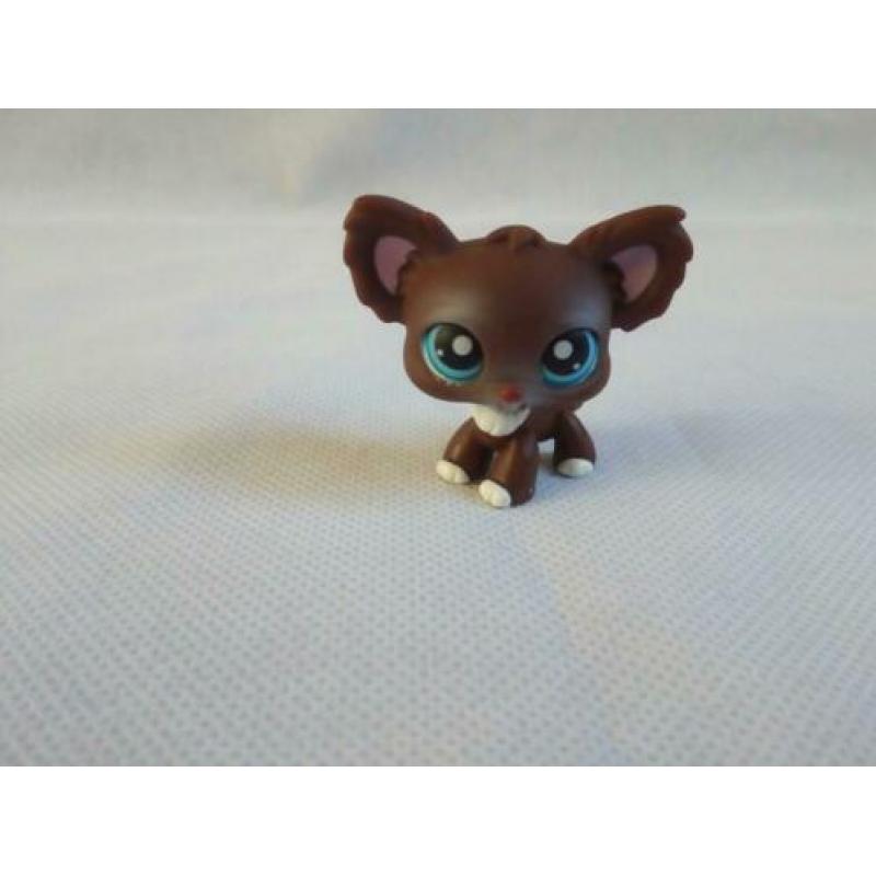 Littlest Pet Shop Chihuahua