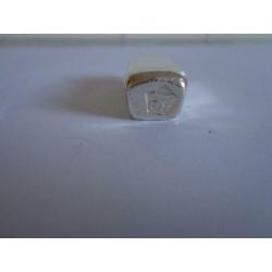 Zilveren hanger van 54 gram zilver