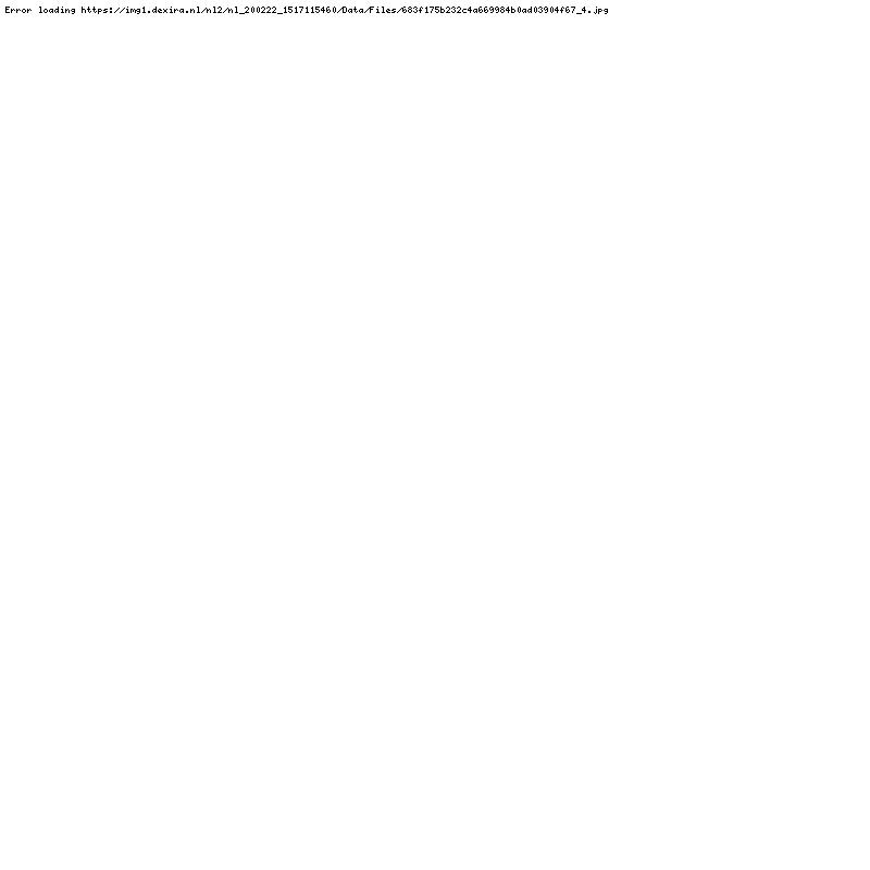 Renault Scenic 1.6 16V