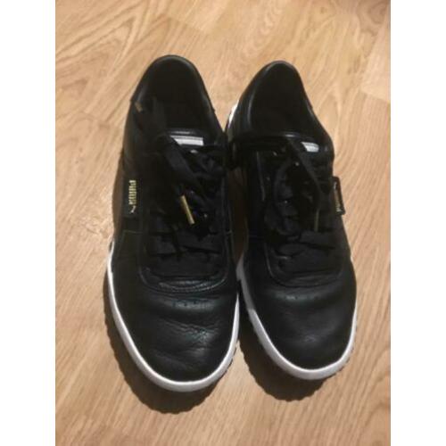 Puma gympen 39