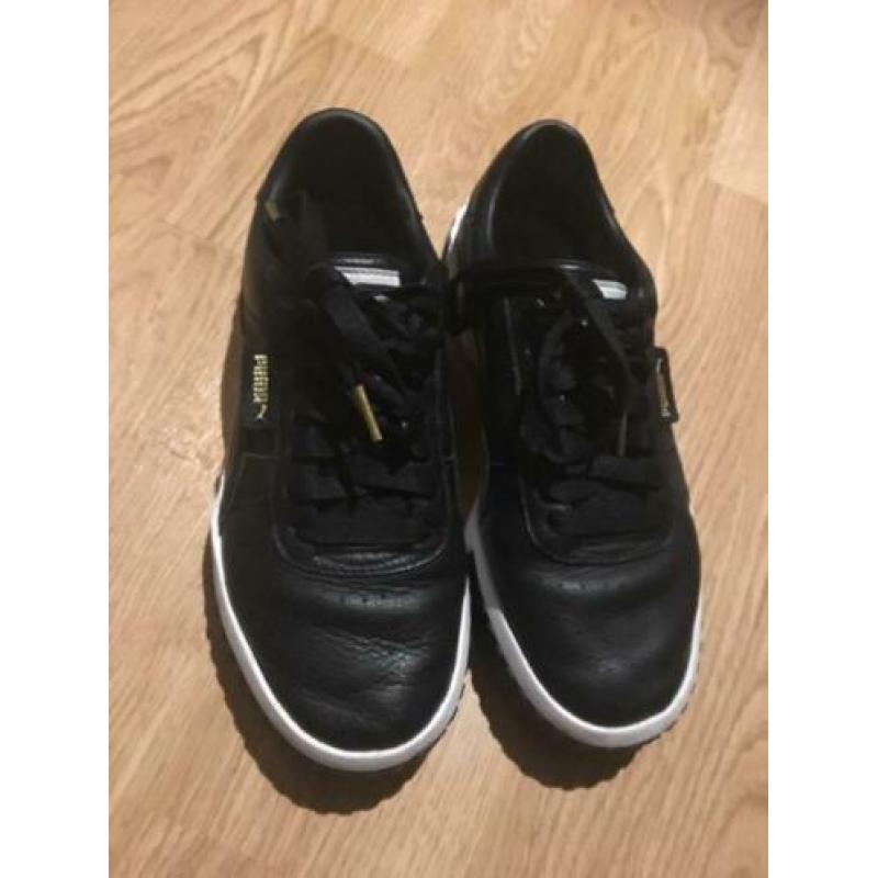 Puma gympen 39