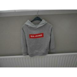 Mooie grijze hoodie maat 116 van CHE QUE