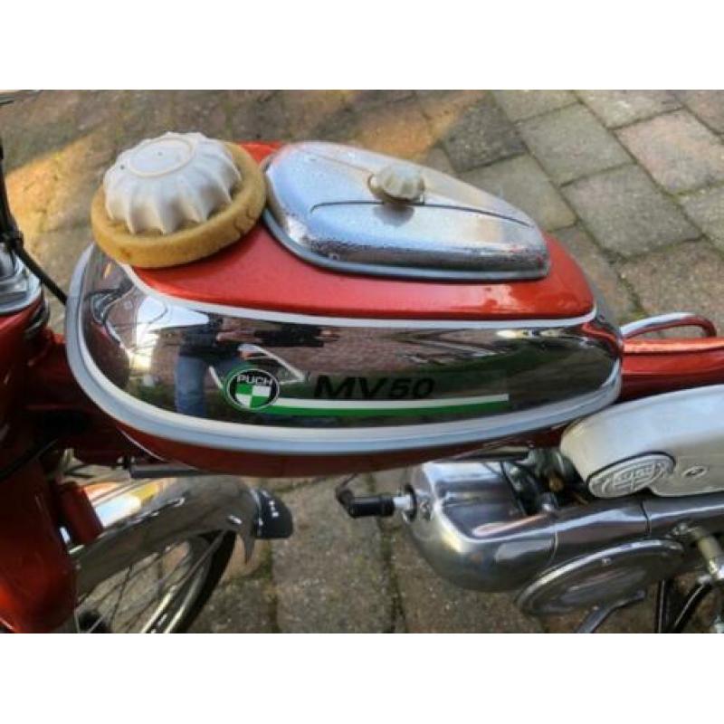 Puch mv 50 1973