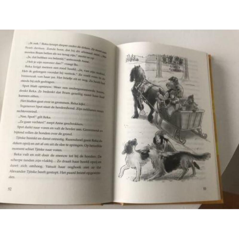De Bleshof 3-in-1 Paardenboek