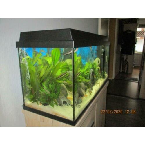 Juwel aquarium primo 110 L is 10 maanden oud compleet