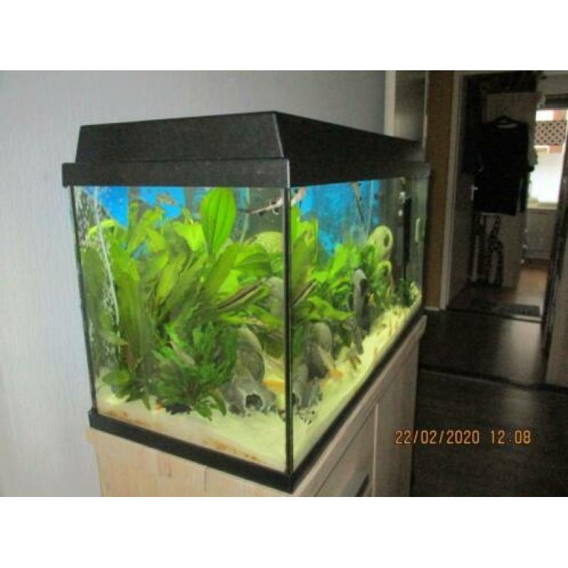 Juwel aquarium primo 110 L is 10 maanden oud compleet