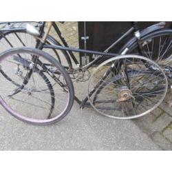 Gazelle Frame Impala