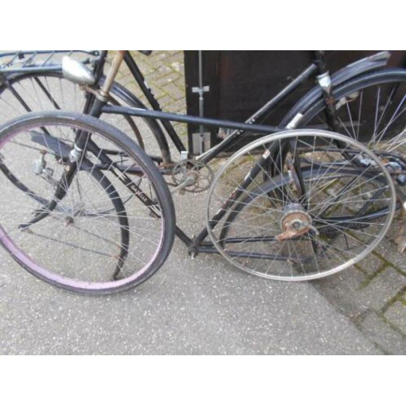 Gazelle Frame Impala
