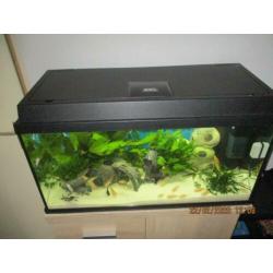 Juwel aquarium primo 110 L is 10 maanden oud compleet