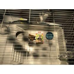 Konijnen kooi cavia kooi groot