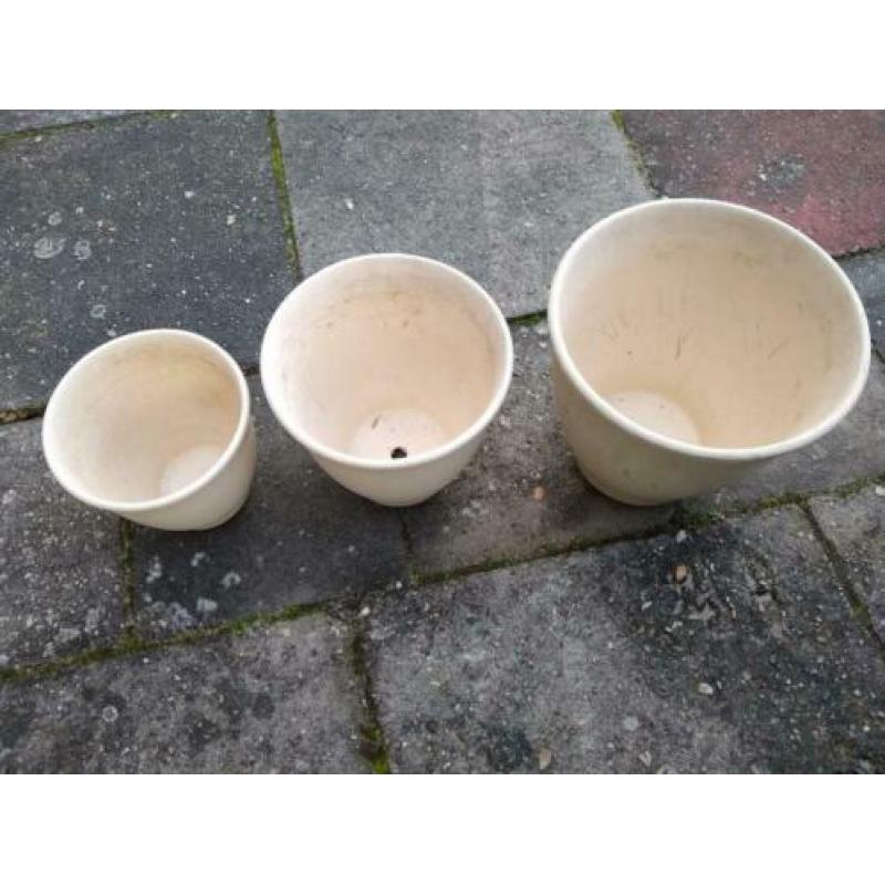 Te koop zgan kamerplant bloempotten