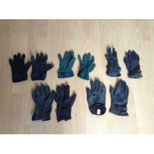 Diverse koetsiers en paardrijhandschoenen