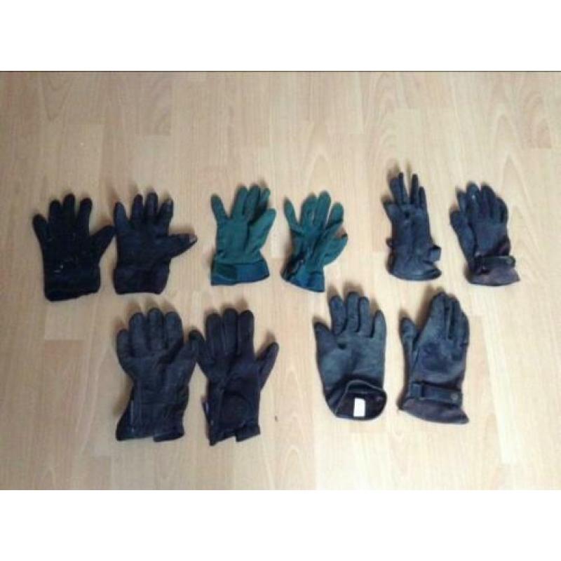 Diverse koetsiers en paardrijhandschoenen