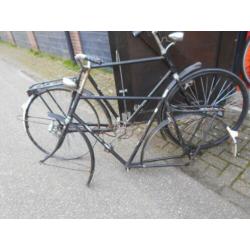 Gazelle Frame Impala