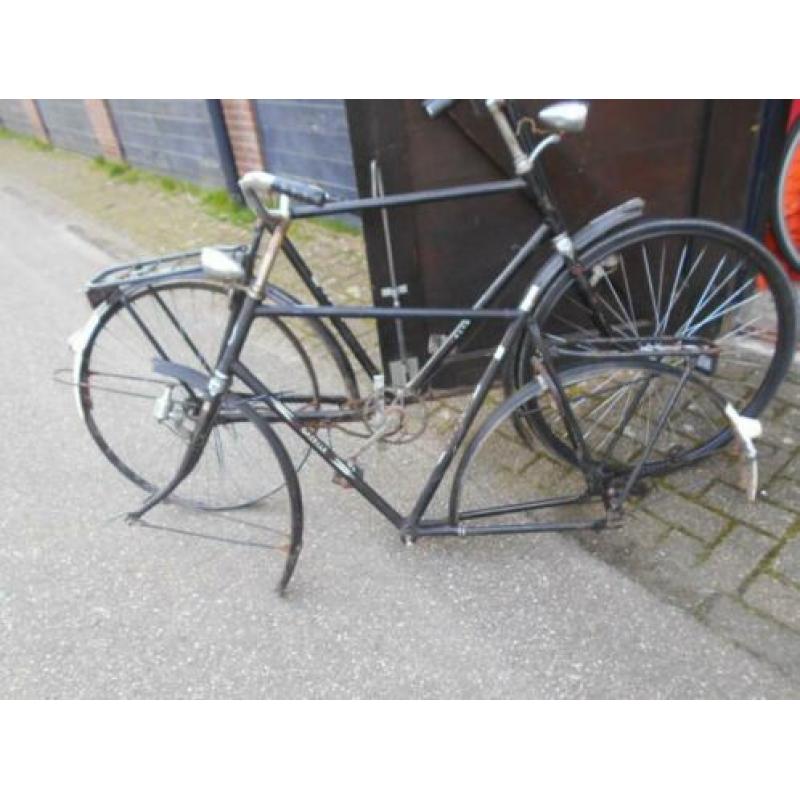 Gazelle Frame Impala