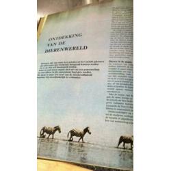 Grote geïllustreerde dierenatlas