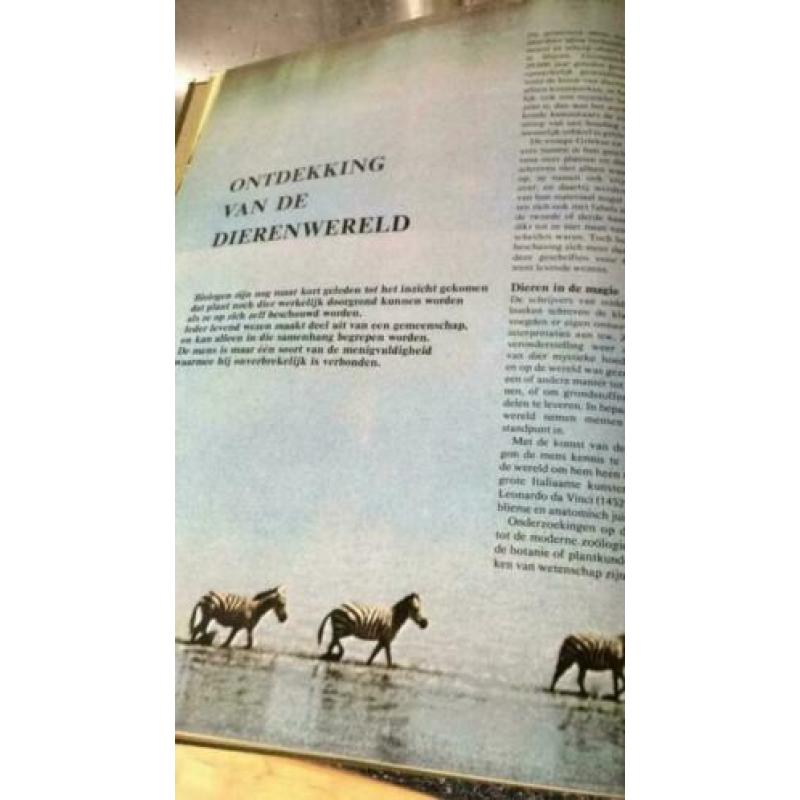 Grote geïllustreerde dierenatlas