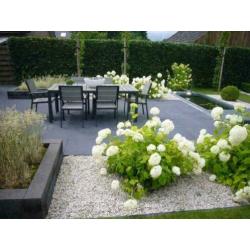 Terrastegel / Terrastegels antraciet grijs/zwart 60x60 OP=OP