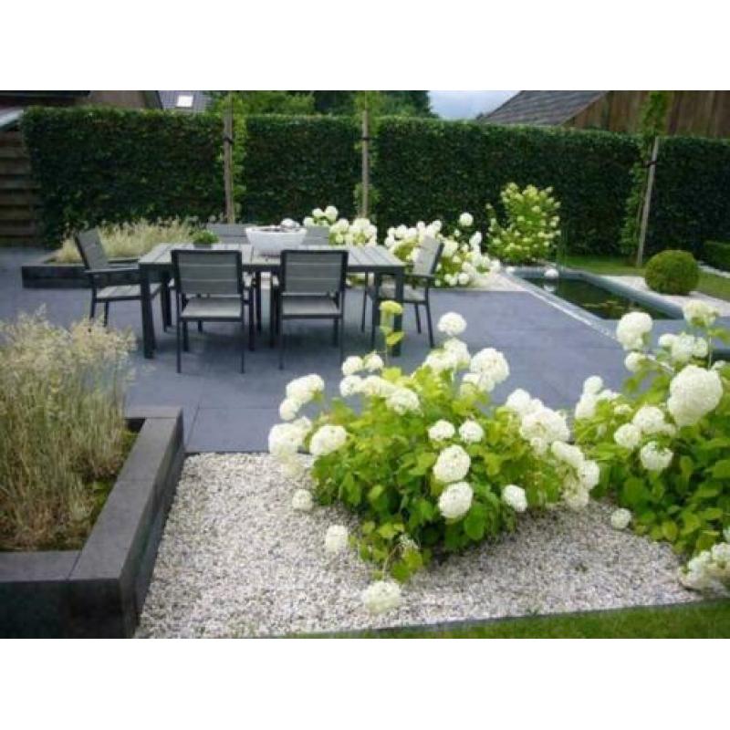 Terrastegel / Terrastegels antraciet grijs/zwart 60x60 OP=OP