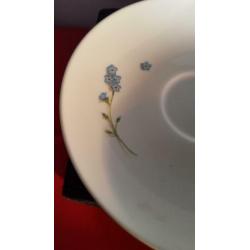 Wildberries Villeroy &Boch 1 x kop en schotel