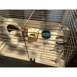Konijnen kooi cavia kooi groot